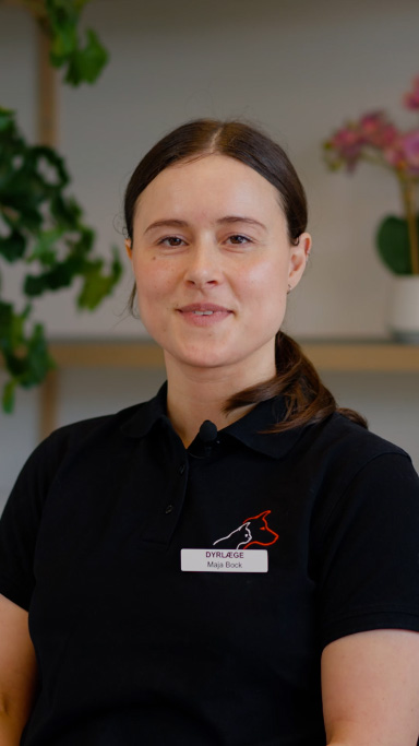 maja